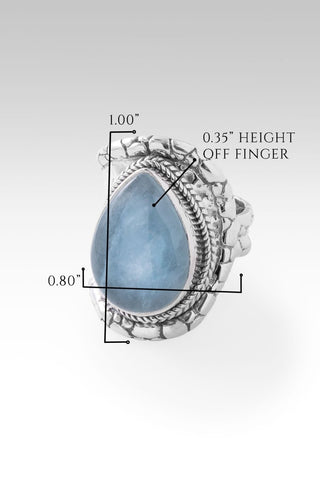 Blessed with Abundance Ring™ in Aquamarine - Dinner - only found at SARDA™