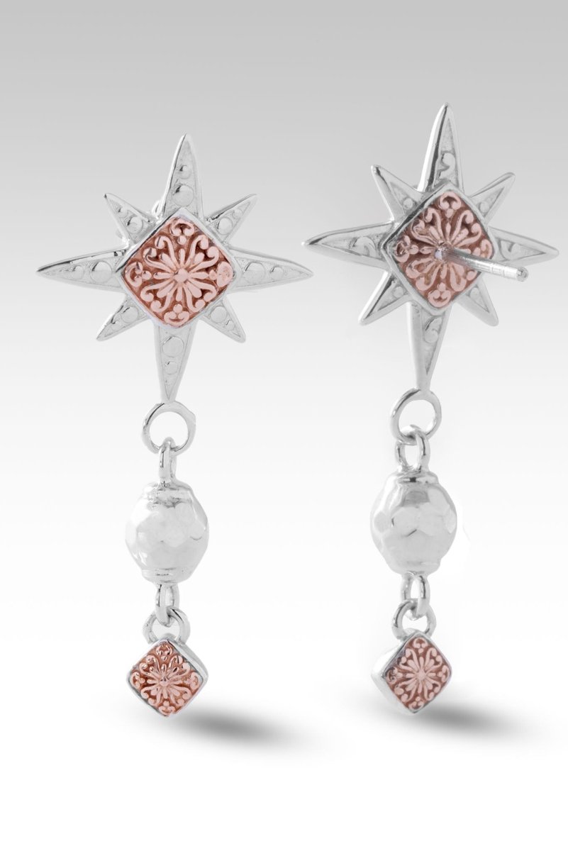 Sterling Silver Earrings - SARDA™