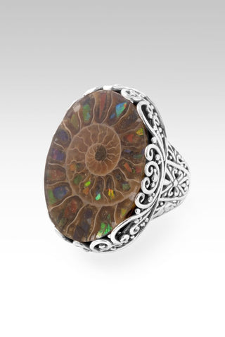 God Sees All Ring™ in Ammonite with Ammolite Inlay - Statement - only found at SARDA™