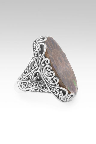 God Sees All Ring™ in Ammonite with Ammolite Inlay - Statement - only found at SARDA™