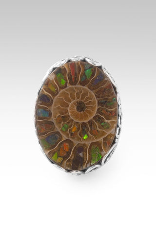 God Sees All Ring™ in Ammonite with Ammolite Inlay - Statement - only found at SARDA™