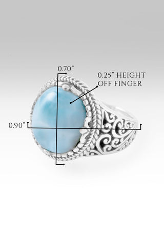 God's Perfect Place Ring™ in Larimar - Dinner - only found at SARDA™