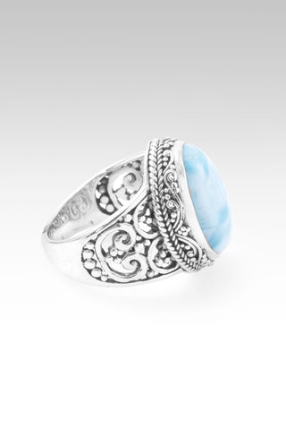 Hello Joy, Goodbye Sadness Ring™ in Larimar - Statement - only found at SARDA™