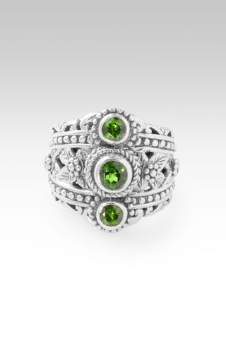 Hello Rainbow, Goodbye Storm Ring™ in Chrome Diopside - Dinner - only found at SARDA™