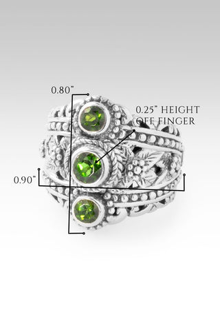 Hello Rainbow, Goodbye Storm Ring™ in Chrome Diopside - Dinner - only found at SARDA™