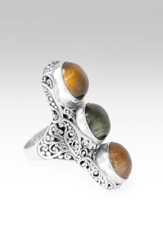 I Am His Treasure Ring™ in Tiger's Eye, Blue Tiger's Eye & Rutilated Quartz - Statement - only found at SARDA™