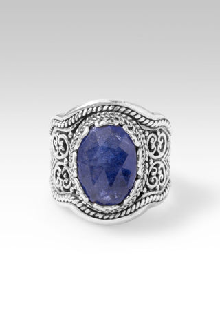 Jesus Take Control Ring III™ in Tanzanite - Dinner - only found at SARDA™
