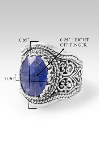 Jesus Take Control Ring III™ in Tanzanite - Dinner - only found at SARDA™