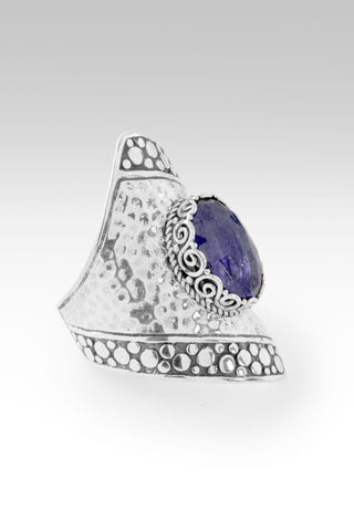 Jesus Take Control Ring™ in Tanzanite - Dinner - only found at SARDA™
