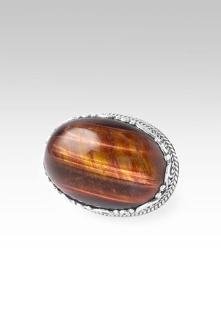 Nothing He Can't Do Ring™ in Chocolate Tiger's Eye - Statement - only found at SARDA™