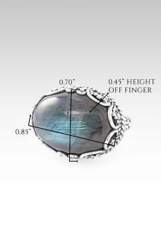 One I Look To Ring™ in Labradorite - Dinner - only found at SARDA™