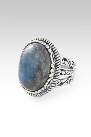Quieted Storm Within Ring II™ in Labradorite - Dinner - only found at SARDA™