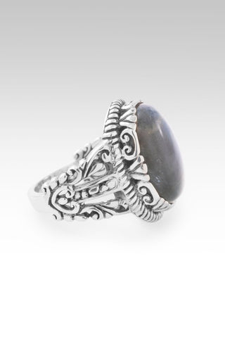 Quieted Storm Within Ring II™ in Labradorite - Dinner - only found at SARDA™