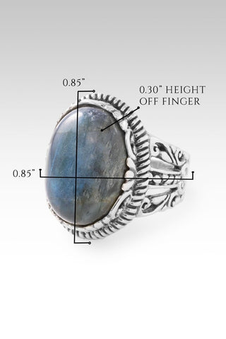 Quieted Storm Within Ring II™ in Labradorite - Dinner - only found at SARDA™