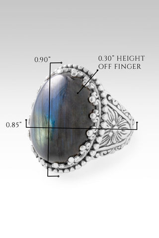 Quieted Storm Within Ring™ in Labradorite - Dinner - only found at SARDA™