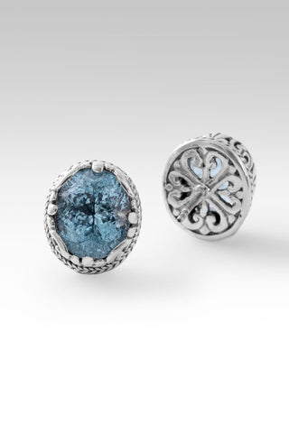 Who Is & Was Earrings™ in Arctic Blue Topaz - Stud - only found at SARDA™